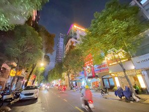 siêu vị trí 2mt lê thị hồng gấm & calmette | 8*20; 5 lầu; giá 120 tỷ