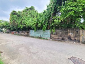 bán đất mặt tiền đường cây da xề dt 100m2 shr thổ cư 70 đường rộng 8m thông 2 đầu, dân cư đông đúc