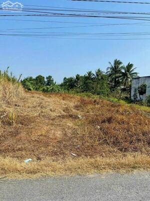 Đất bán gần đường vành đai TP Tân An, Long An