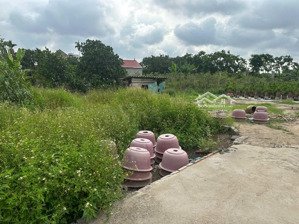 bán đất tại thôn cd quán trạch, 2,475 tỷ, 72,8 m2, giá siêu hời hot!