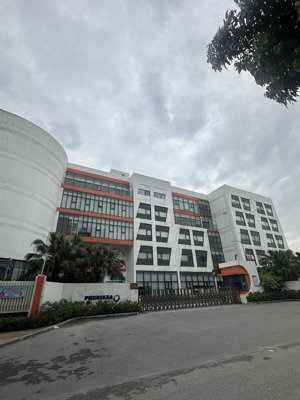 bán gấp 43m2, đất tđc tu hoàng, vỉa hè ô tô tránh, gần sân chơi, giá: 8.7 tỷ, lh: 