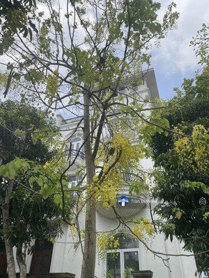 biệt thự 4t xây thô louis viii đại mỗ, lô góc dt 200m2, mt 10m, 52 tỷ từ liêm. lh 