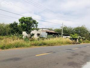 CẦN SANG LỖ 1000M2 ĐẤT VƯỜN GẦN SÁT CHỢ DÂN CƯ HIỆN HỮU DÂN ĐÔNG GIÁ 360 TRIỆU