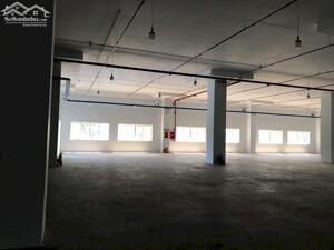 Cho thuê xưởng 5000m2 Phường Linh Trung, Tp Thủ Đức