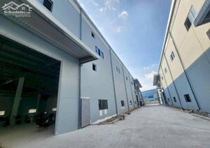 Cho Thuê Nhà Xưởng KCN Sóng Thần 3 - Tổng 11.000m² Giá Tốt, Phù Hợp Mọi Ngành Nghề