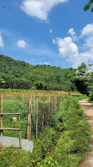 bán gấp đất nền 4600m2, giá thỏa thuận tại xã xăm khòe, huyện mai châu, hòa bình