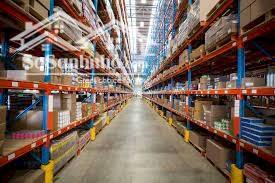 Cho Thuê Nhà Xưởng Gần KCN Protrade An Tây, Bến Cát – Diện Tích 10.500m², Phù Hợp Ngành Gỗ Xuất Khẩu