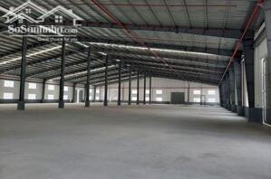 Cho Thuê Nhà Xưởng đang Xây Dựng 6.221 M2 Tại Long Nguyên, Bàu Bàng, Bình Dương