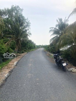 bán đất 350 triệu, 130m2 tại tân thành, bình tân, vĩnh long