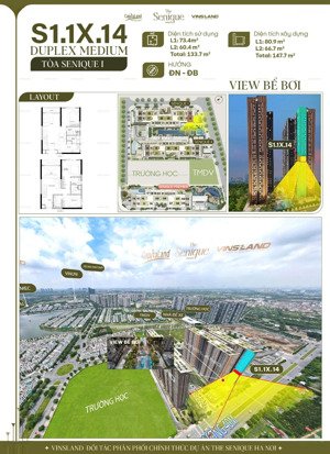 tri ân khách hàng quỹ ngoại giao căn hộ duplex chiết khấu đặc biệt, hướng đông nam, view bể bơi.