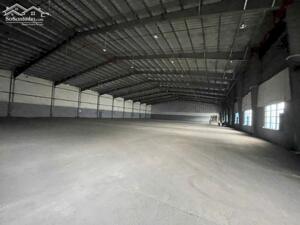 BDS HVL KHO LÒ LU Q9 ĐA DẠNG 7500m2 - 10.000m2 CÓ PCCC