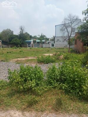 Khám Phá Tiềm Năng - Đất Nền Phát Triển Gần Khu Công Nghiệp 115m2 SHR