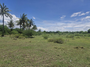 bán đất tại đt 716, bình thạnh, tuy phong, bình thuận, 7 triệu / m2, 20000 m2