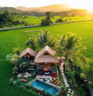 chỉ từ 250tr có ngay đất mặt tiền 11m - ngoại ô tp. tam kỳ - 200m2 view cực đẹp