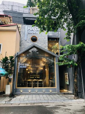 hàng hiếm biệt thự sân vườn phố quang trung - hai bà trưng, 290m2x2 tầng, mặt tiền 13,5m