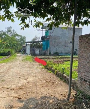 chính chủ cần tiền bán gấp 120m2 đất nền tại thuỷ xuân tiên - chương mỹ