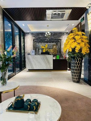 bán tòa nhà khách sạn phố trần thái tông cầu giấy 130mx7tx8,1mmt giá 70 tỷ dòng tiền tốt kd sầm uất