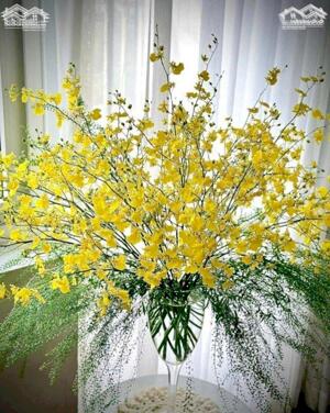 Chuyển nhượng đất công nghiệp. 5000 ..8000 m ..1ha ..2 ha ..20 ha và xây dựng cho thuê kho xưởng.