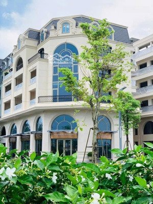 bán duy nhất 1 căn royal mansion trục đường hùng vương giá rẻ nhất dự án dành cho khách đầu tư