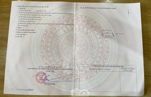 không mua lô này thì mua lô nào. lô góc đẹp. địa chỉ: nghĩa sơn, minh đức, đồ sơn, hải phòng