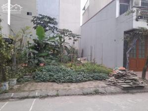 ĐẤT BIÊN GIANG GẦN ĐƯỜNG 6 ĐƯỜNG 2ÔTÔ TRÁNH 50M NHỈNH 3TỶ