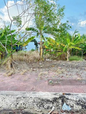 để lại 7 lô đất ở kdc xã lộc hòa, long hồ, vĩnh long. cách ql1a 200m. 370tr/100m2. shr, full thổ.