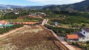 đất nghỉ dưỡng hiếm có ngoại ô đà lạt ở mê linh view đồi thông, có sối duy nhất 650 triệu