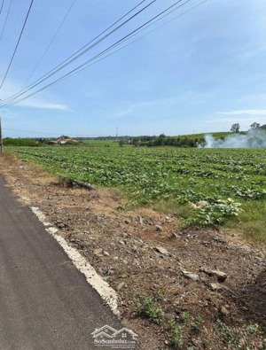 bán lô đất mặt tiền đường đh722 - minh thạnh, bình dương