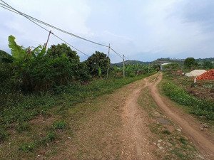 giá rẻ cần bán gấp. xã phú xuân, huyện krong năng, tỉnh đak lak
