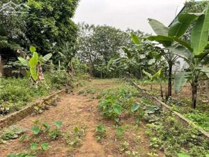 Siêu hiếm bán đất Bắc Cầu Long Biên 350m mt 15m 23.9 tỷ