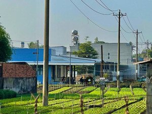 mặt tiền 28m cạnh trường nguyễn du thống nhất. khu dân cư sầm uất, tiềm năng tăng giá cao