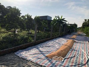 cho thuê xưởng góc 2 mặt tiền ngay sát kcn long thành. thuộc tam an, long thành. dt đất 1800m2