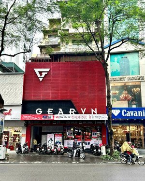 nhận ngay mặt bằng phố nguyễn huy tưởng - thanh xuân, mtt 7m - dt 60m x 3.5t kd mọi mô hình