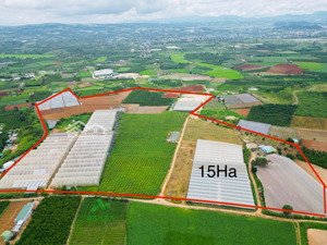 chính chủ gửi bán quỹ đất 15 ha - huyện đức trọng giá rất tốt