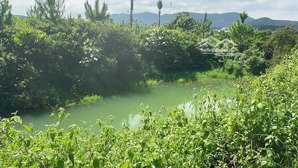 bán gấp đất sào gần trung tâm xã lộc thành