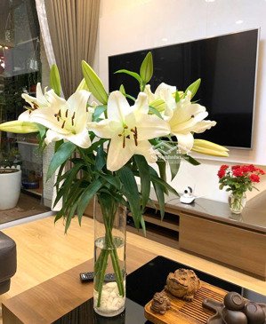 chính chủ cho thuê căn hộ 3pn tại vinhomes gardenia, cầu diễn, nam từ liêm, hà nội dt 120m2