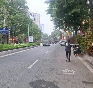 bán nhà mặt phố nguyễn hoàng 75,2m2 xây 6t, mặt tiền gần 5m, hè rộng, đường to, kinh doanh rất tốt