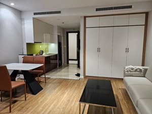 cho thuê chung cư 27 thái thịnh - le capitole, căn studio 1 ngủ, full đồ, 13 triệu. 0971,.342, 965