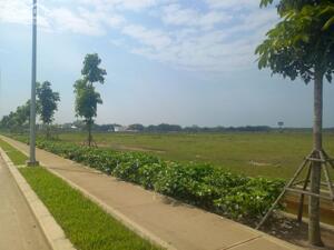 Bán đất xây dựng xưởng 1.6ha KCN Amata Long Thành, Huyện Long Thành, Đồng Nai