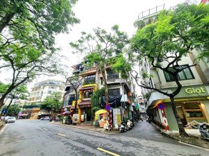 bán nhà nguyên hồng - kinh doanh, phân lô, dt 56m2 5 tầng, giá 25 tỷ