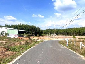 bán gấp lô đất đồng nai để trả nợ 250m2 có sẵn 100 thổ giá 220 triệu