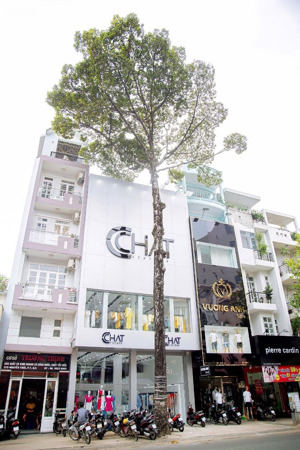 chính chủ cho thuê nhà mặt tiền 381-383 nguyễn trãi, p7, q5. dt: 8x14m 