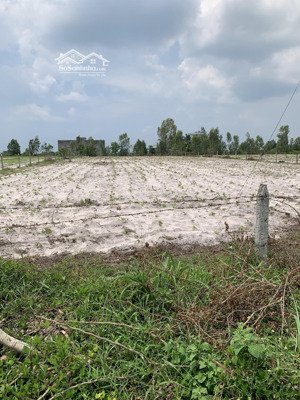 chủ gửi bán lô đất thổ cư gần villa nguyễn gia bình châu, xuyên mộc, brvt