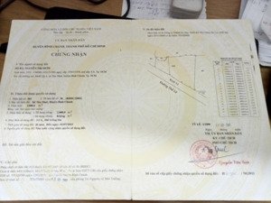 đất mặt tiền 2000 m2 ngang 100 m đường thế lữ bình chánh dự án khu dân cư, bệnh viện. giá 12 tỷ