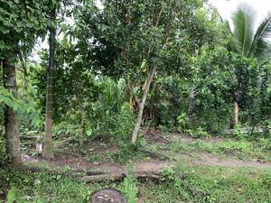 bán đất giá rẻ 220 triệu thới phong, phường thới an