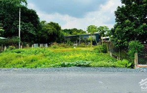 200m2 đất hương lộ 2 gần chợ lộc hưng, trảng bàng tây ninh chủ bán lỗ giá chỉ 470 triệu