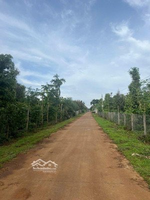 đi nhanh đất nông nghiệp, trồng nhiều cây lâu năm sale mạnh