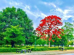 đất đô thị nơi dáng sống nhất thủy nguyên giá rẻ