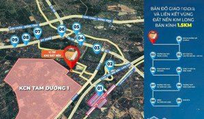 chính chủ cần bán đất tại tổ dân phố gô tt tam dương vĩnh phúc