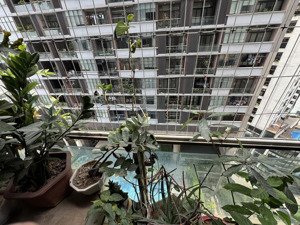 chính chủ bán căn hộ dolphin plaza - trần bình, nam từ liêm. dt 133m2 * 2 ngủ master * view bể bơi